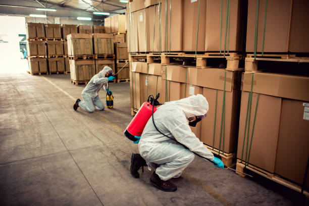 Best Wasp Removal Services  in Westvle, IL