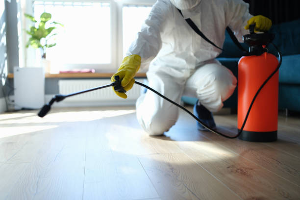 Best Affordable Exterminators  in Westvle, IL